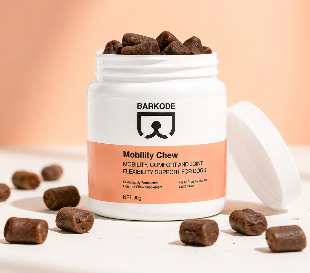 Eine Dose BARKODE Mobility Chew mit weichen Snacks