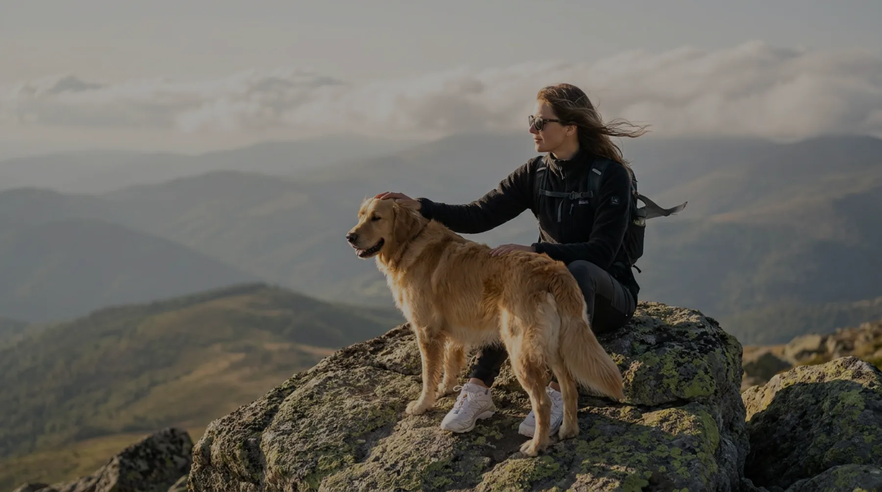 Hund rennt freudig auf seinen Besitzer zu