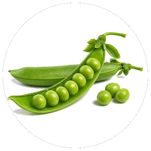 Erbsenmehl
