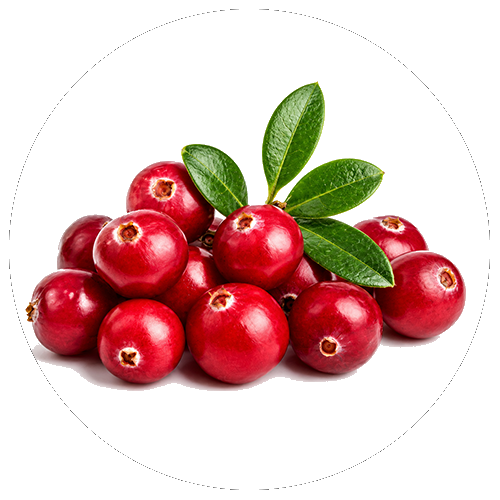 Zink (Chelat)